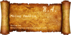 Meleg Amália névjegykártya